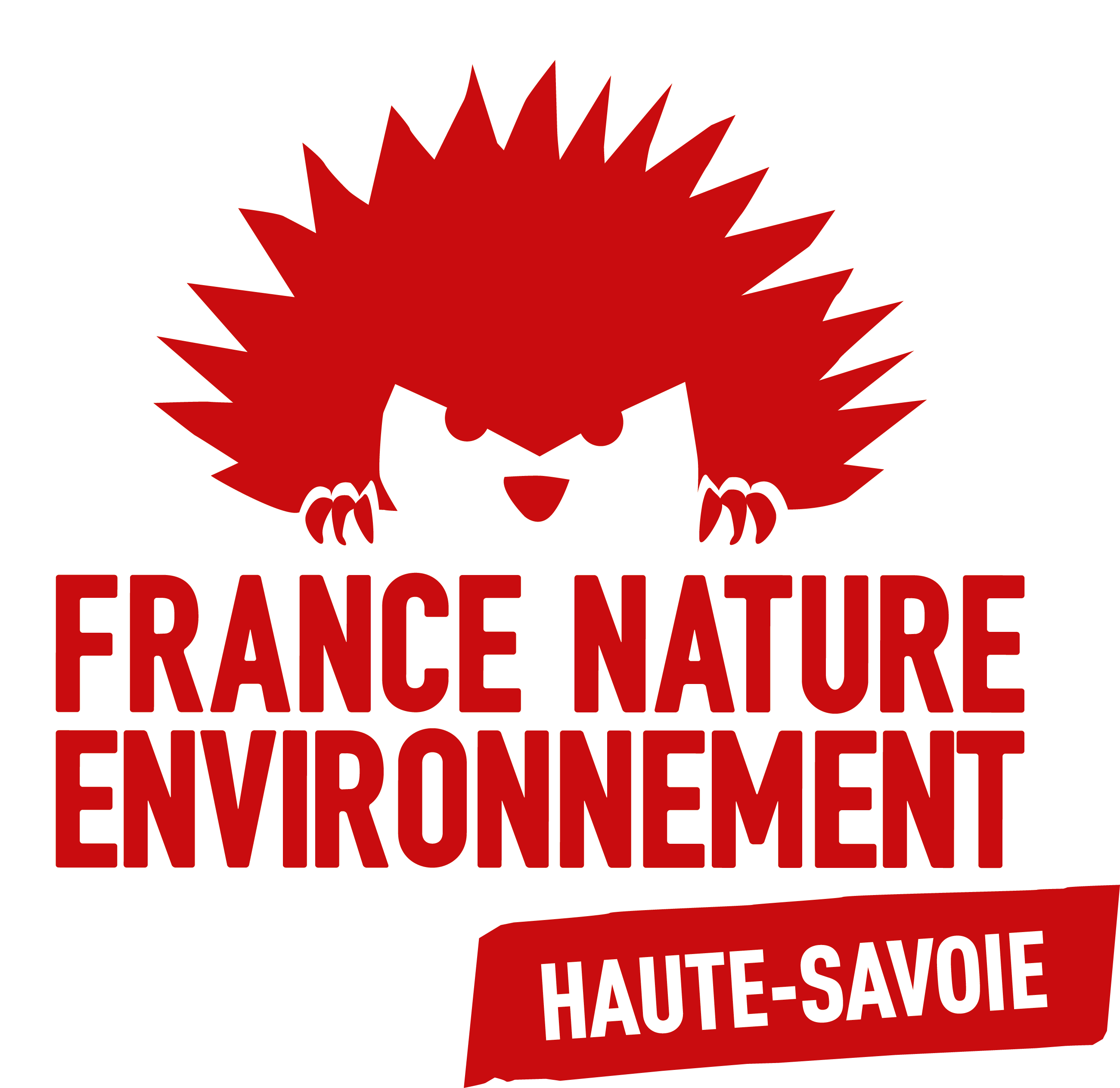 Logo FNE Haute-Savoie