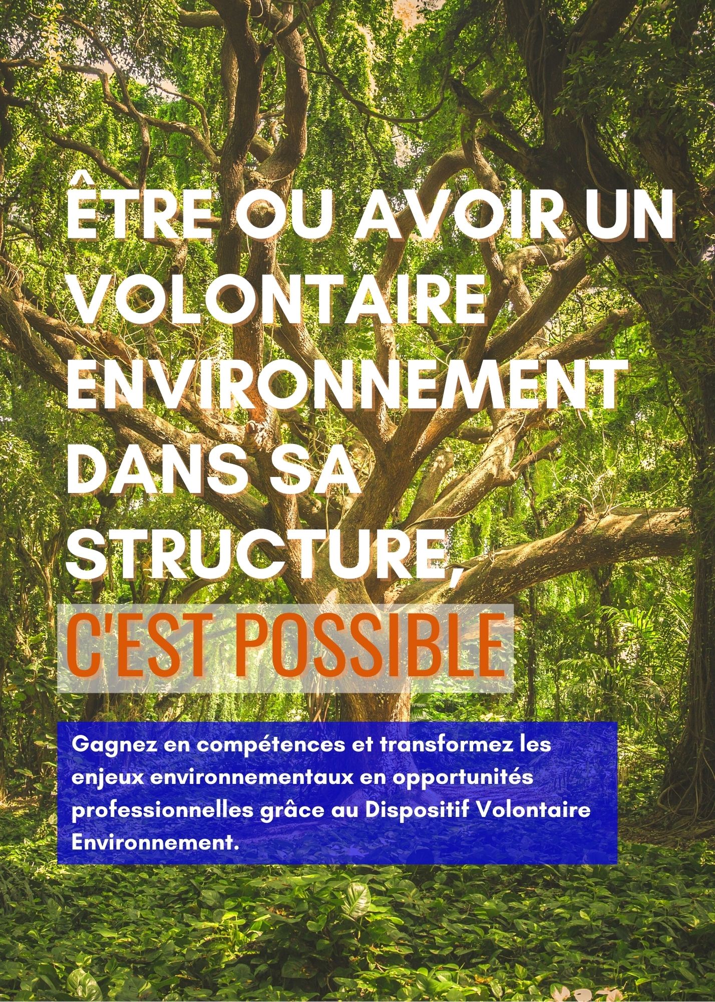 Être ou avoir un volontaire environnement dans sa structure c'est possible!